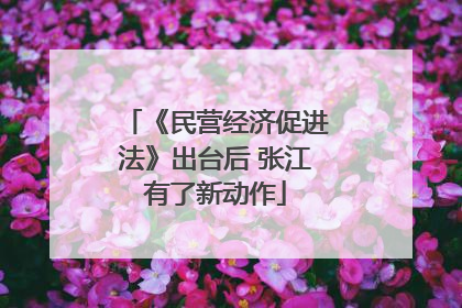 《民营经济促进法》出台后 张江有了新动作