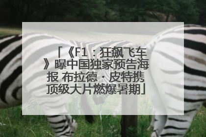 《F1：狂飙飞车》曝中国独家预告海报 布拉德・皮特携顶级大片燃爆暑期