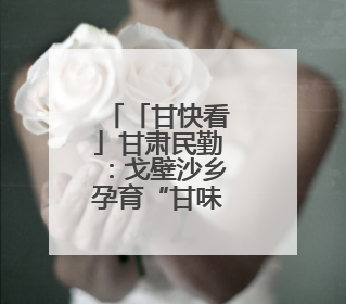 「甘快看」甘肃民勤：戈壁沙乡孕育“甘味”领头羊