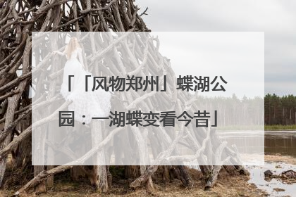 「风物郑州」蝶湖公园：一湖蝶变看今昔