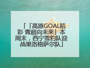 「高原GOAL精彩 青超向未来」本周末，西宁雪豹队迎战果洛格萨尔队