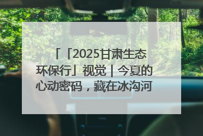 「2025甘肃生态环保行」视觉｜今夏的心动密码，藏在冰沟河的潋滟波光里