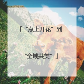 “点上开花”到“全域共美”