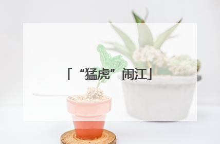 “猛虎”闹江