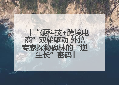 “硬科技+跨境电商”双轮驱动 外籍专家探秘碑林的“逆生长”密码