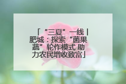 “三夏”一线丨肥城：探索“菌果蔬”轮作模式 助力农民增收致富