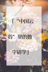 “中国云谷”里的数字研学