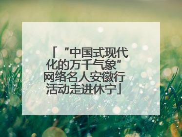 “中国式现代化的万千气象”网络名人安徽行活动走进休宁