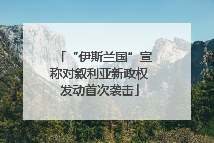“伊斯兰国”宣称对叙利亚新政权发动首次袭击