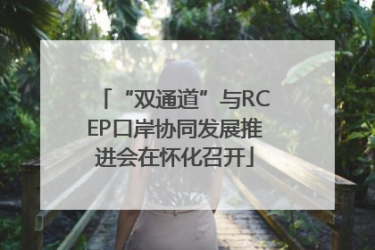 “双通道”与RCEP口岸协同发展推进会在怀化召开