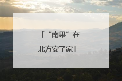 “南果”在北方安了家