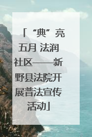“典”亮五月 法润社区——新野县法院开展普法宣传活动