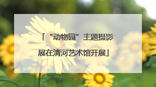 “动物园”主题摄影展在清河艺术馆开展