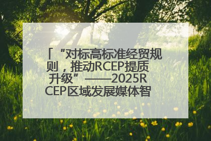 “对标高标准经贸规则，推动RCEP提质升级”——2025RCEP区域发展媒体智库论坛举行专题对话