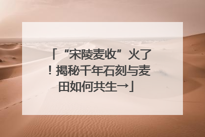 “宋陵麦收”火了！揭秘千年石刻与麦田如何共生→