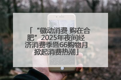 “徽动消费 购在合肥”2025年夜间经济消费季暨66购物月掀起消费热潮