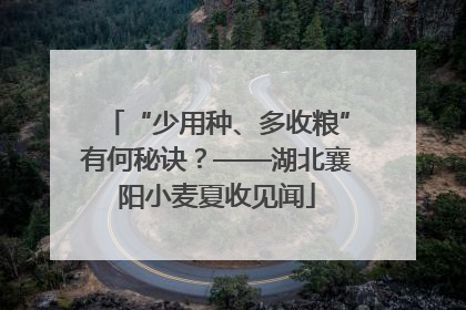 “少用种、多收粮”有何秘诀？——湖北襄阳小麦夏收见闻