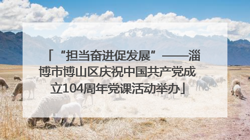 “担当奋进促发展”——淄博市博山区庆祝中国共产党成立104周年党课活动举办