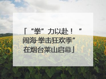“拳”力以赴！“闹海·拳击狂欢季”在烟台莱山启幕