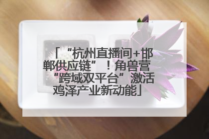 “杭州直播间+邯郸供应链”！角兽营“跨域双平台”激活鸡泽产业新动能