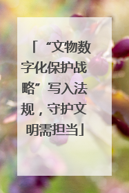 “文物数字化保护战略”写入法规，守护文明需担当