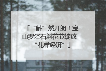 “斛”然开朗！宝山罗泾石斛花节绽放“花样经济”