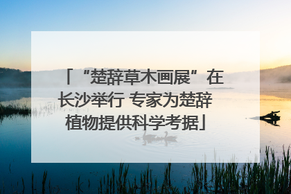 “楚辞草木画展”在长沙举行 专家为楚辞植物提供科学考据