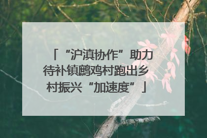 “沪滇协作”助力待补镇鹧鸡村跑出乡村振兴“加速度”