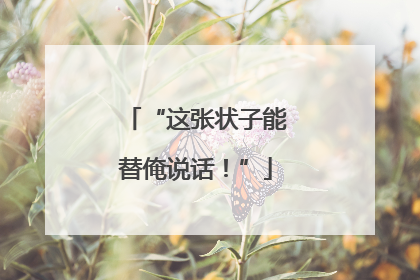 “这张状子能替俺说话！”