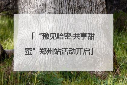 “豫见哈密·共享甜蜜”郑州站活动开启