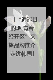 “逍遥目的地 青春经开区”文旅品牌推介走进韩国