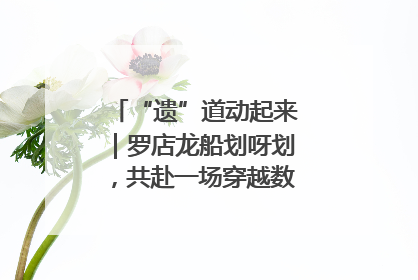“遗”道动起来｜罗店龙船划呀划，共赴一场穿越数百年的端午之约