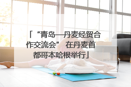 “青岛—丹麦经贸合作交流会” 在丹麦首都哥本哈根举行