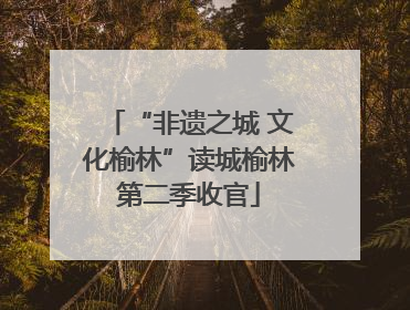 “非遗之城 文化榆林”读城榆林第二季收官