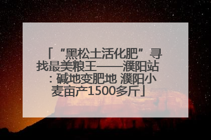 “黑松土活化肥”寻找最美粮王——濮阳站：碱地变肥地 濮阳小麦亩产1500多斤