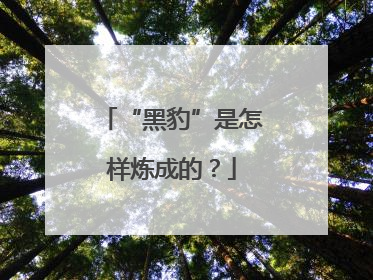 “黑豹”是怎样炼成的？