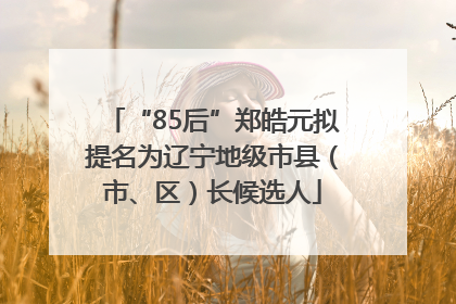 “85后”郑皓元拟提名为辽宁地级市县（市、区）长候选人