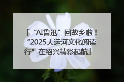 “AI鲁迅”回故乡啦！“2025大运河文化阅读行”在绍兴精彩起航