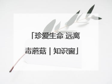 珍爱生命 远离毒蘑菇｜知识窗