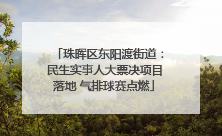 珠晖区东阳渡街道：民生实事人大票决项目落地 气排球赛点燃