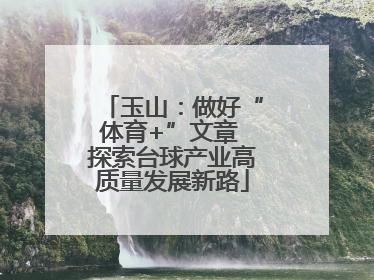 玉山：做好“体育+”文章 探索台球产业高质量发展新路