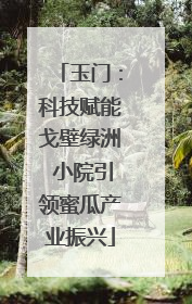玉门：科技赋能戈壁绿洲 小院引领蜜瓜产业振兴