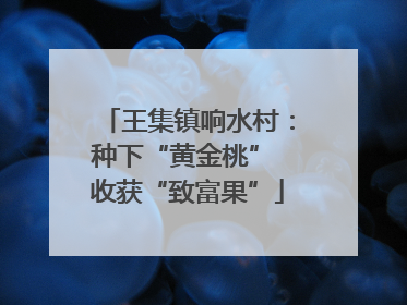 王集镇响水村：种下“黄金桃” 收获“致富果”