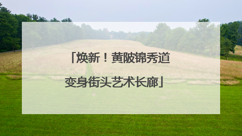 焕新！黄陂锦秀道变身街头艺术长廊
