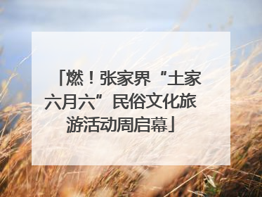 燃！张家界“土家六月六”民俗文化旅游活动周启幕
