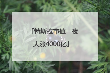 特斯拉市值一夜大涨4000亿