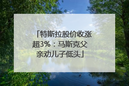 特斯拉股价收涨超3%：马斯克父亲劝儿子低头
