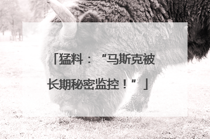 猛料：“马斯克被长期秘密监控！”
