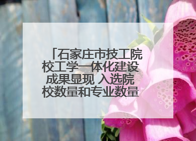 石家庄市技工院校工学一体化建设成果显现 入选院校数量和专业数量全省第一
