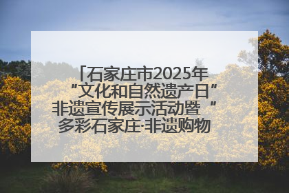 石家庄市2025年“文化和自然遗产日”非遗宣传展示活动暨“多彩石家庄·非遗购物节”倒计时1天